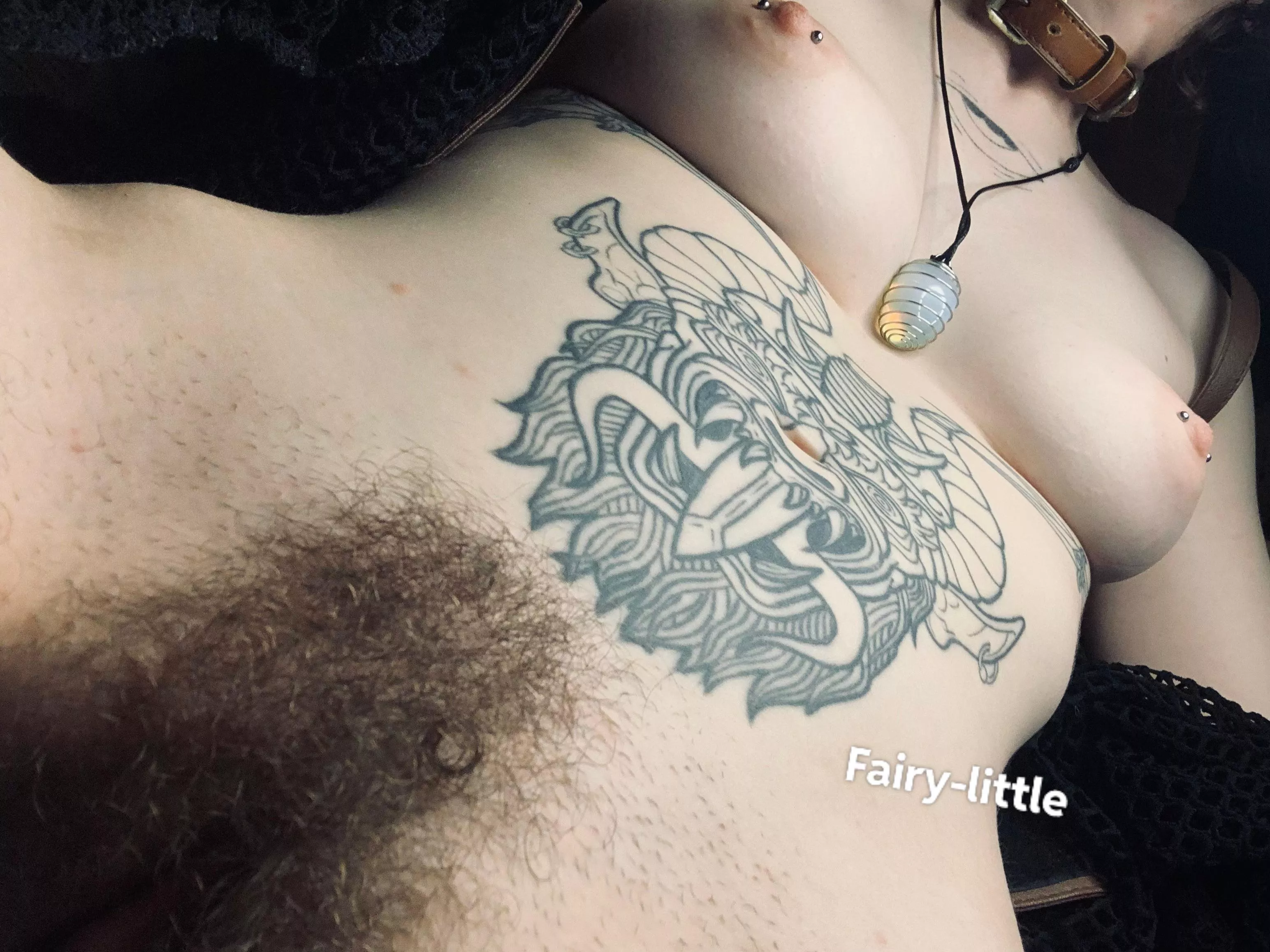 Hi from my bush x posted by fairy-little