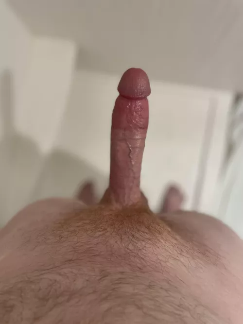 Hotels make me horny by ClamChopzz