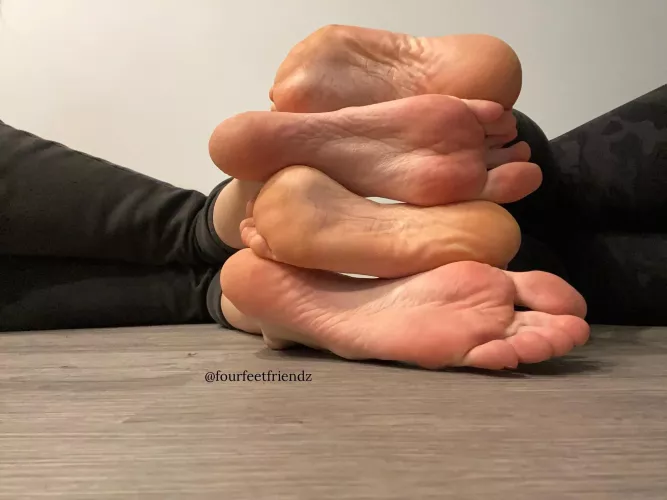 The perfect stack by fourfeetfriendz