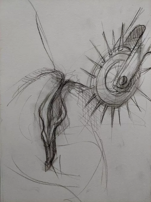 The pinwheel by Meo_graf