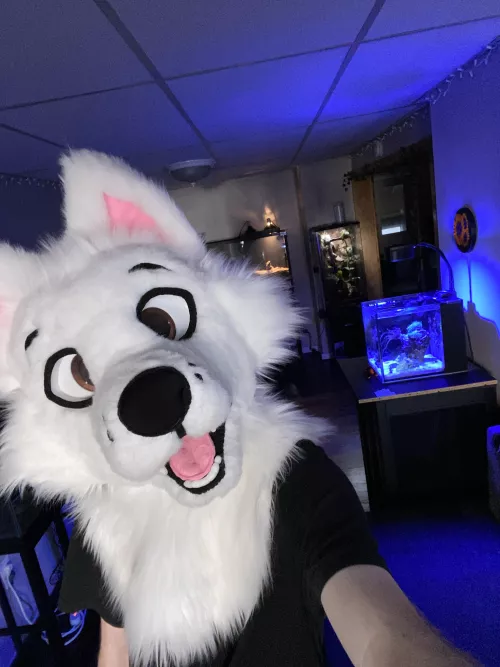 What are your other hobbies?! by BoltBitez