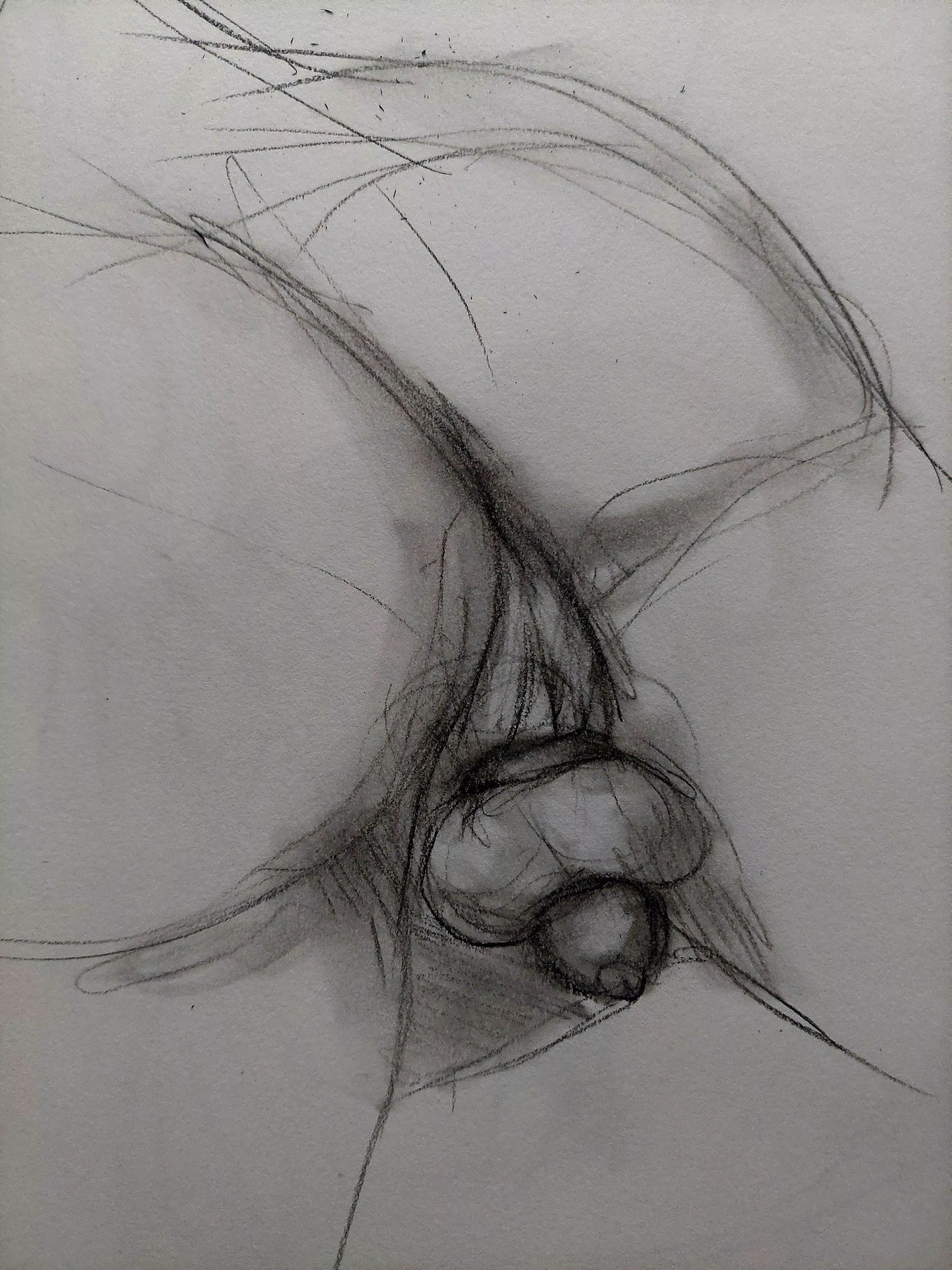 What's going on? (A reverse caged erection while waiting) posted by Meo_graf