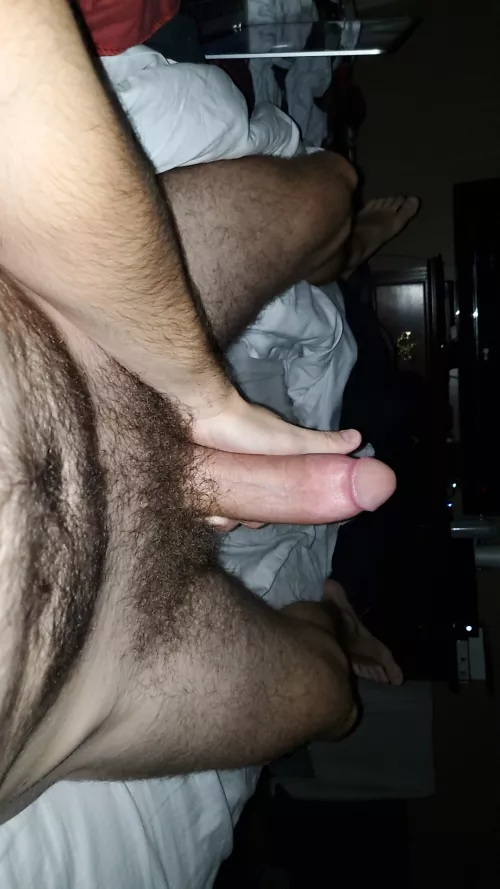 22 country who down for trailer park meat by rattlesnake2377