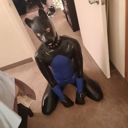 Am I a good boy? by lukewarm45481