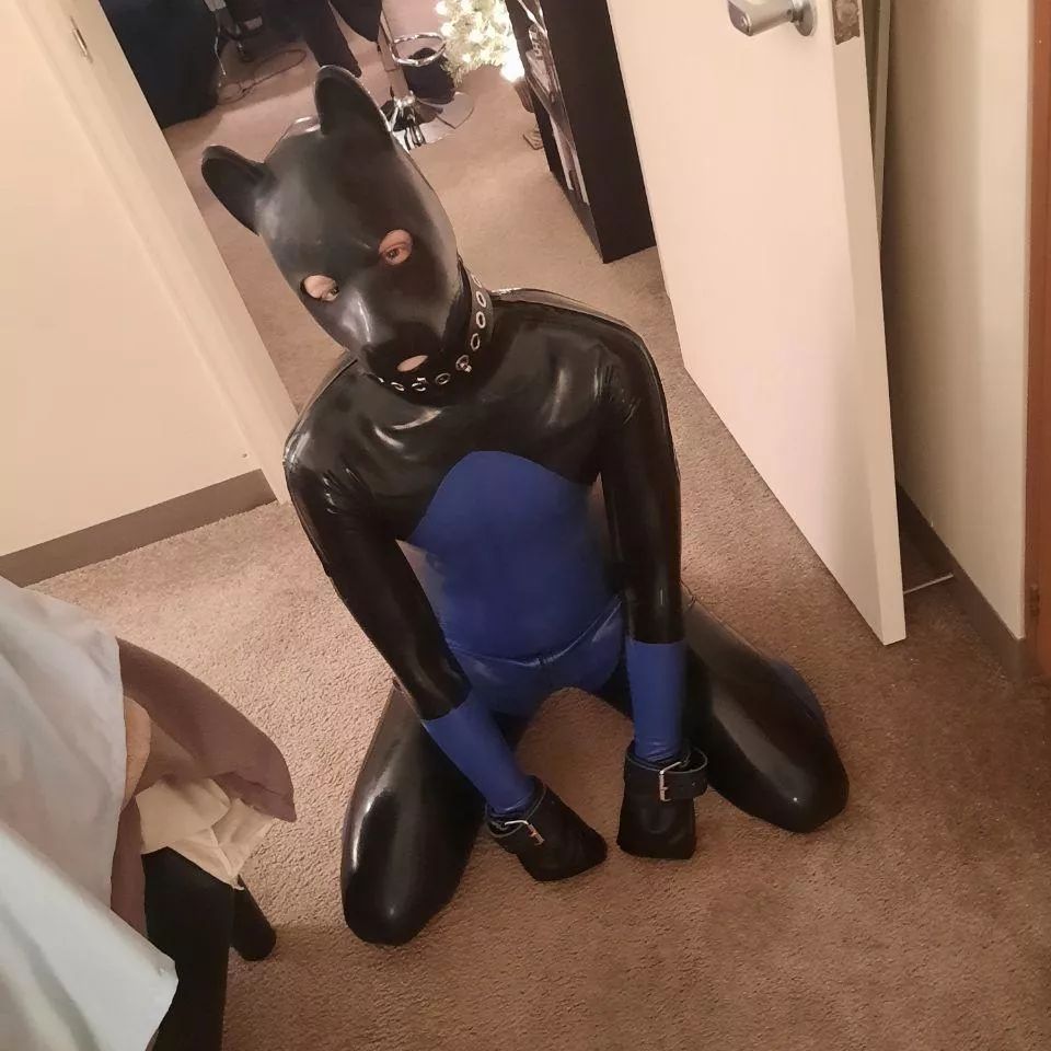 Am I a good boy? posted by lukewarm45481