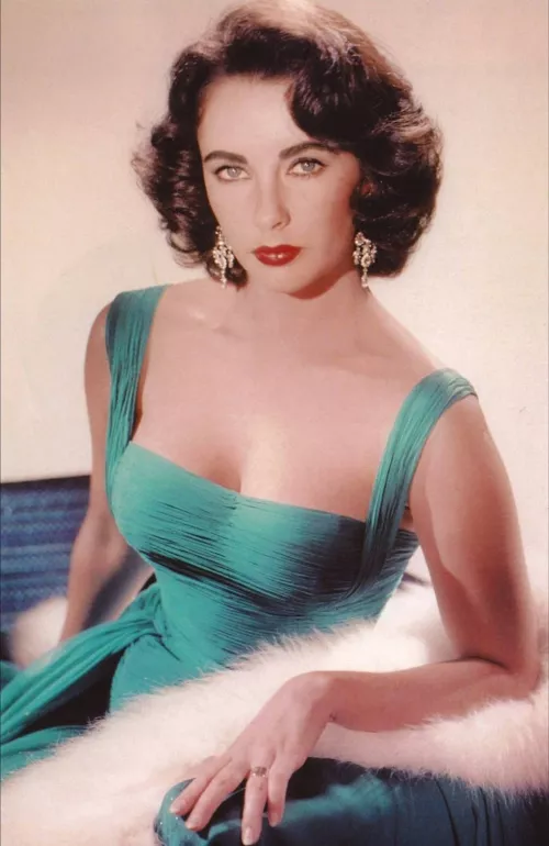 Elizabeth Taylor [1960s] by PeepingLoony
