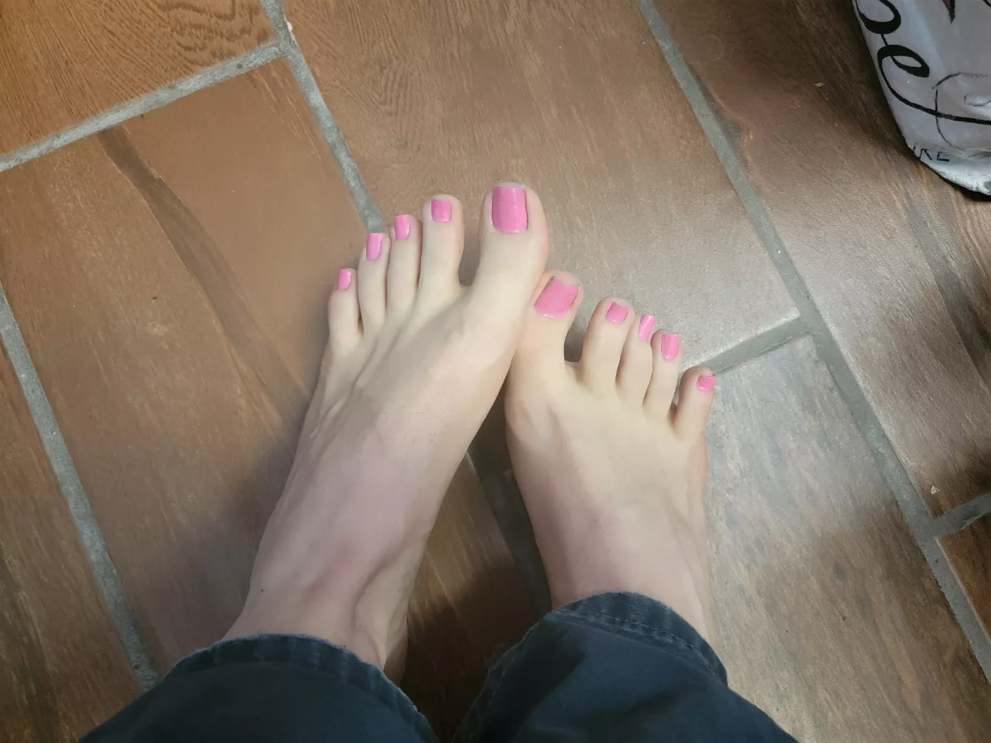 Have a happy sunday funday with these kitty toed 🥰 posted by catasticNya