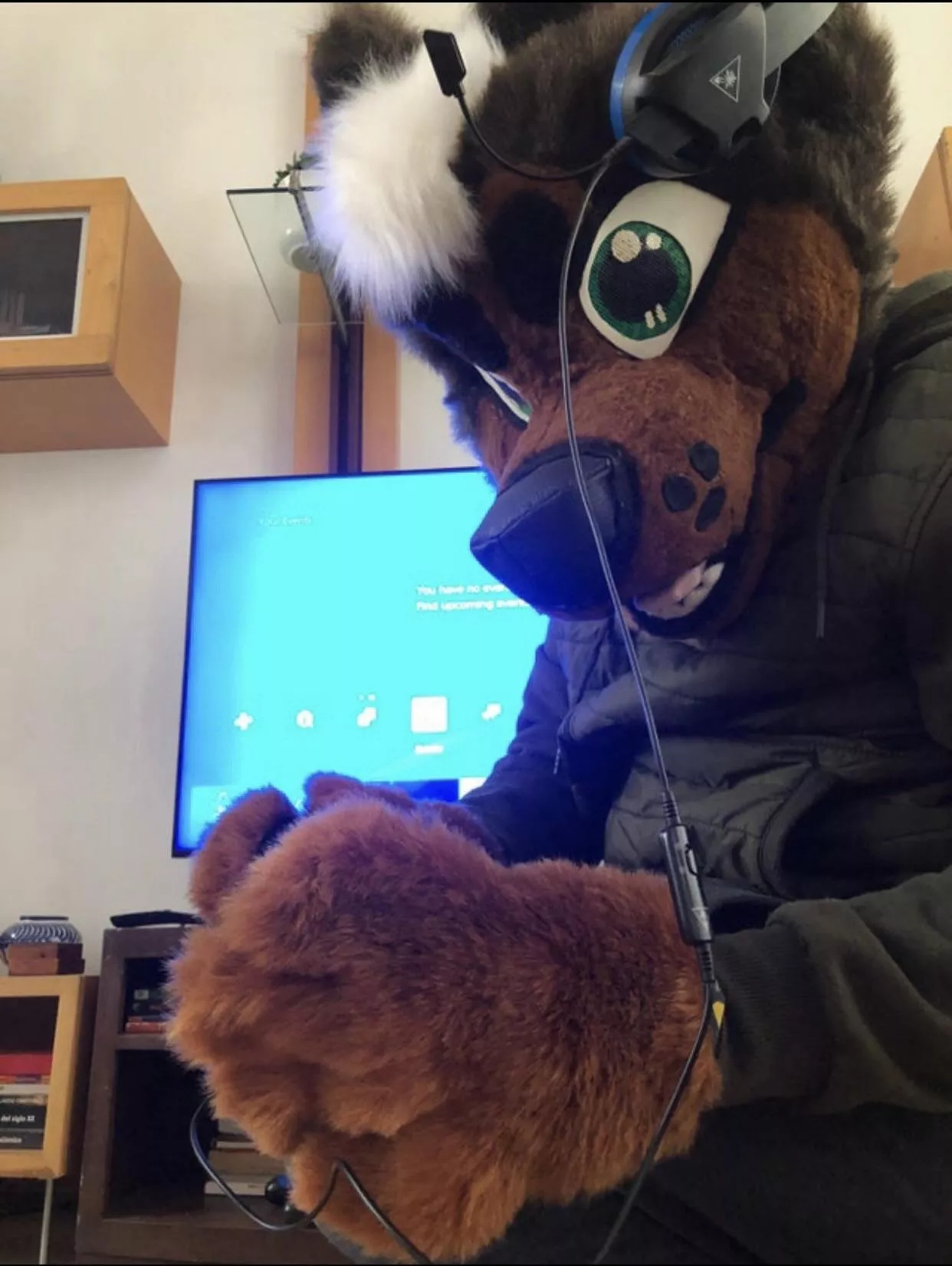 Hey you!, do you like videogames? posted by Milo1104