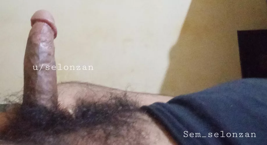 Honestly, what where you doing with this hairy cock?m(24) by selonzan