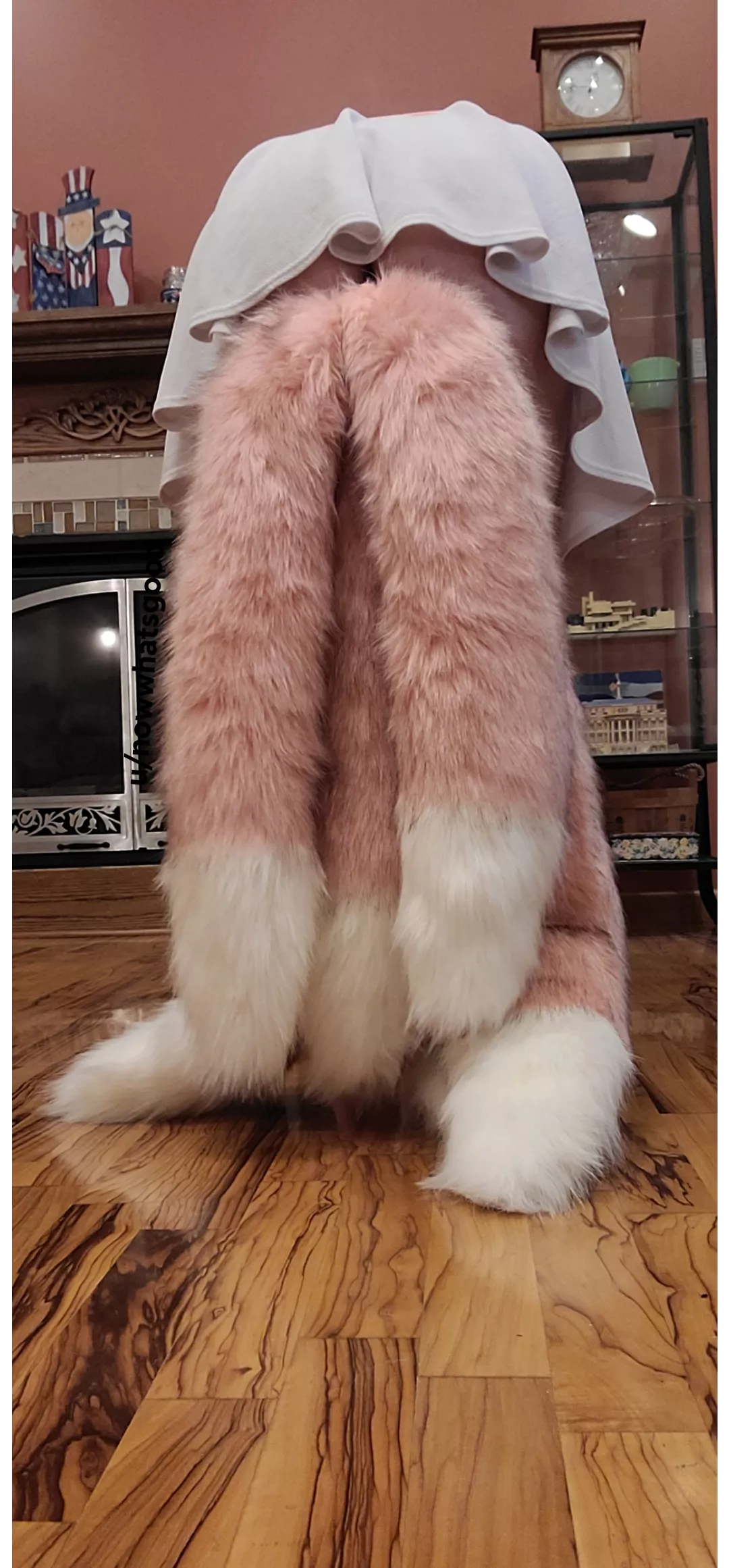 I Need More Tails posted by nowwhatsgood