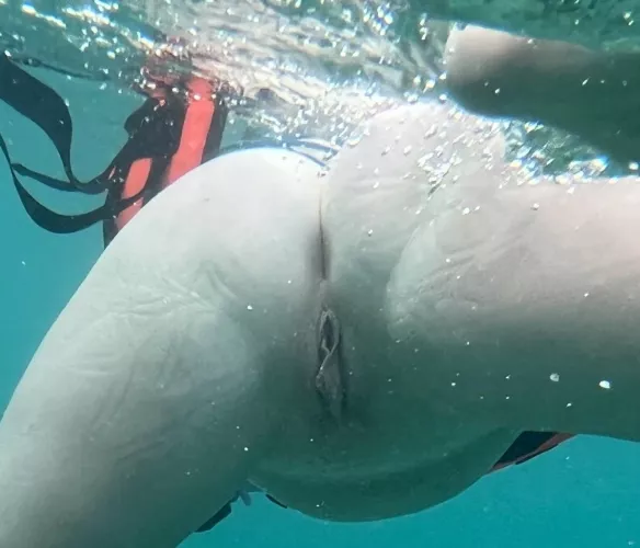 Just keep swimming… by SoCovidlyBored