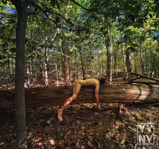 Laying on a tree, I realized I'm one step closer to becoming a sloth. Now, where's my leafy snack? 🦥 🌿 by YangYangNY