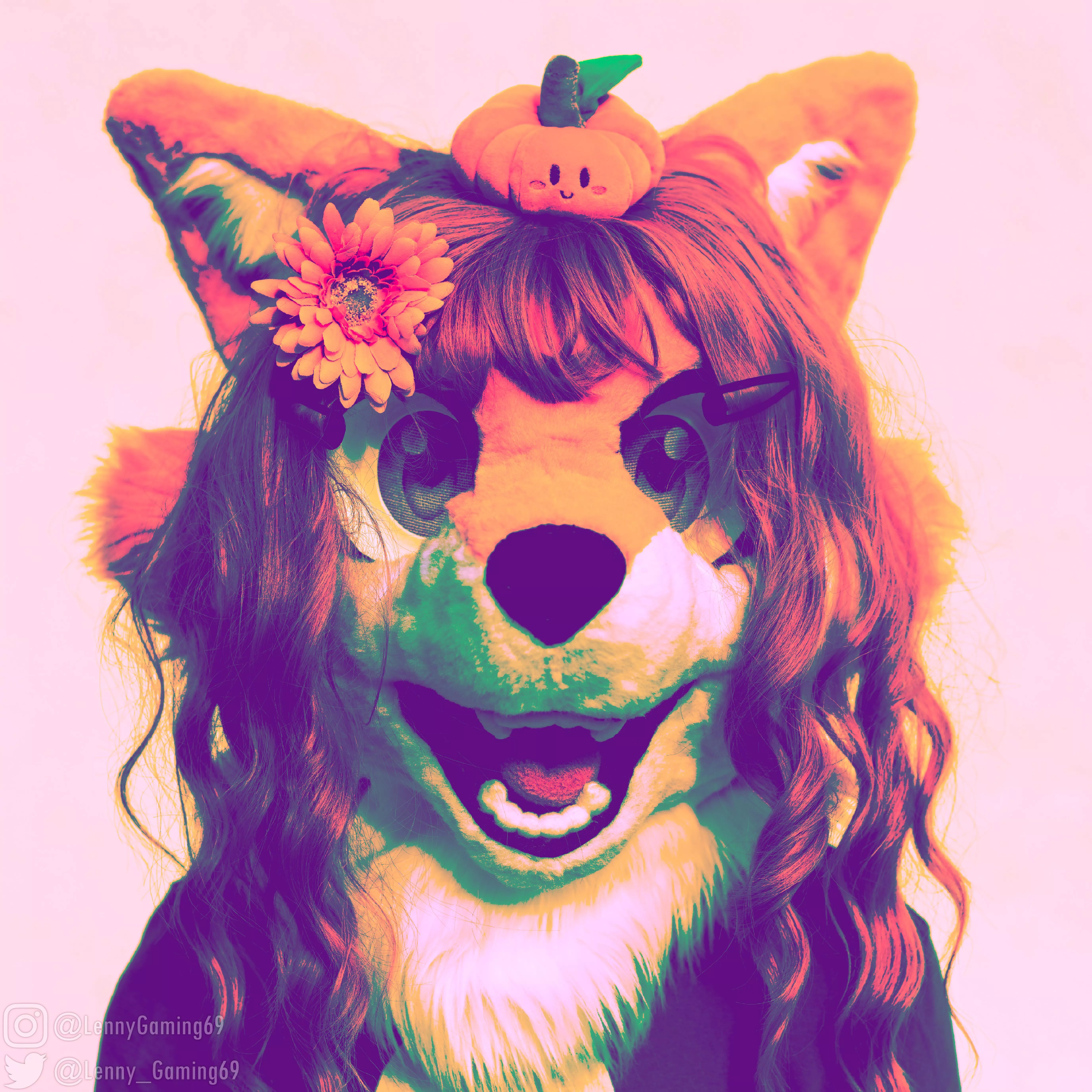 The furry. [LennyGaming] posted by princesscier