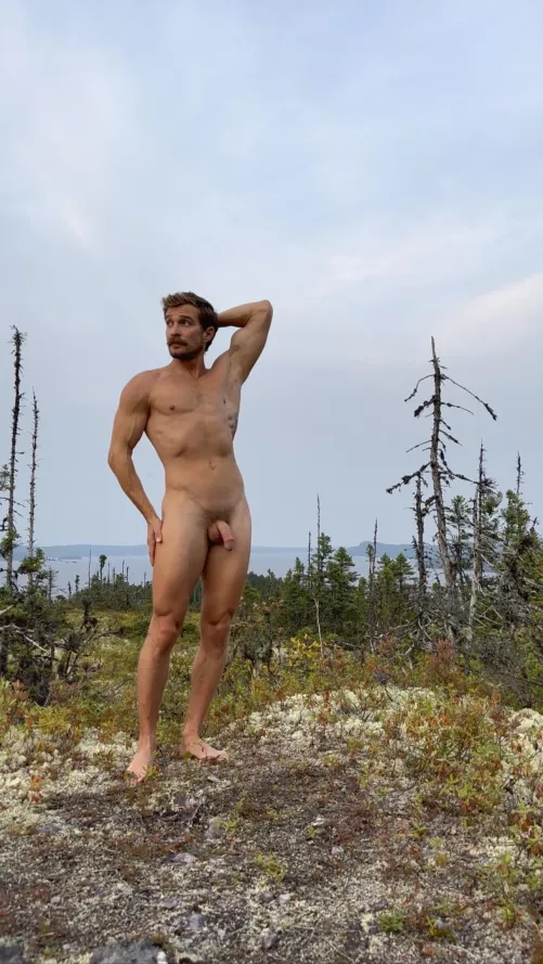 White moss boss by freeintheforest86