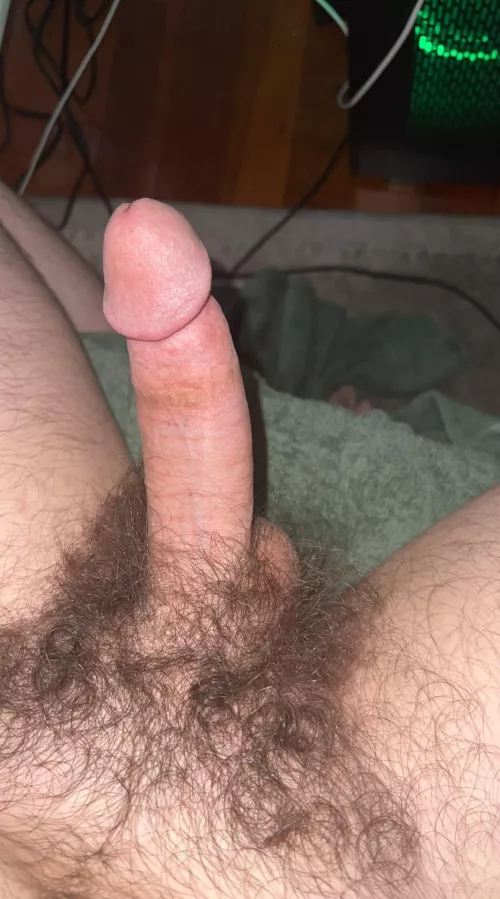 Anyone here like bushes? by bobikey832