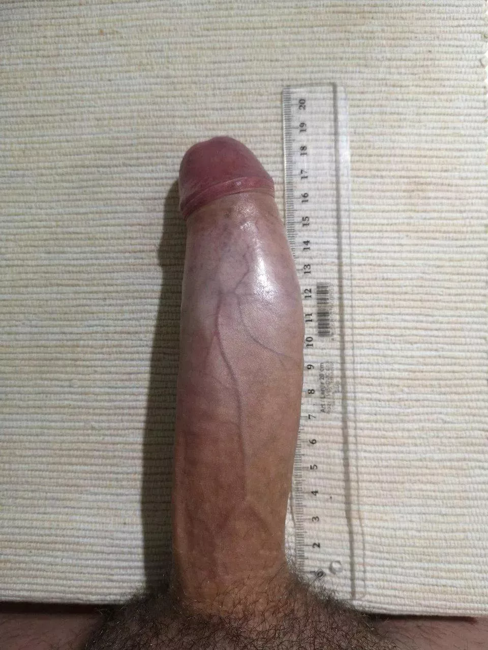 Big or average? posted by No_Sentence_1862