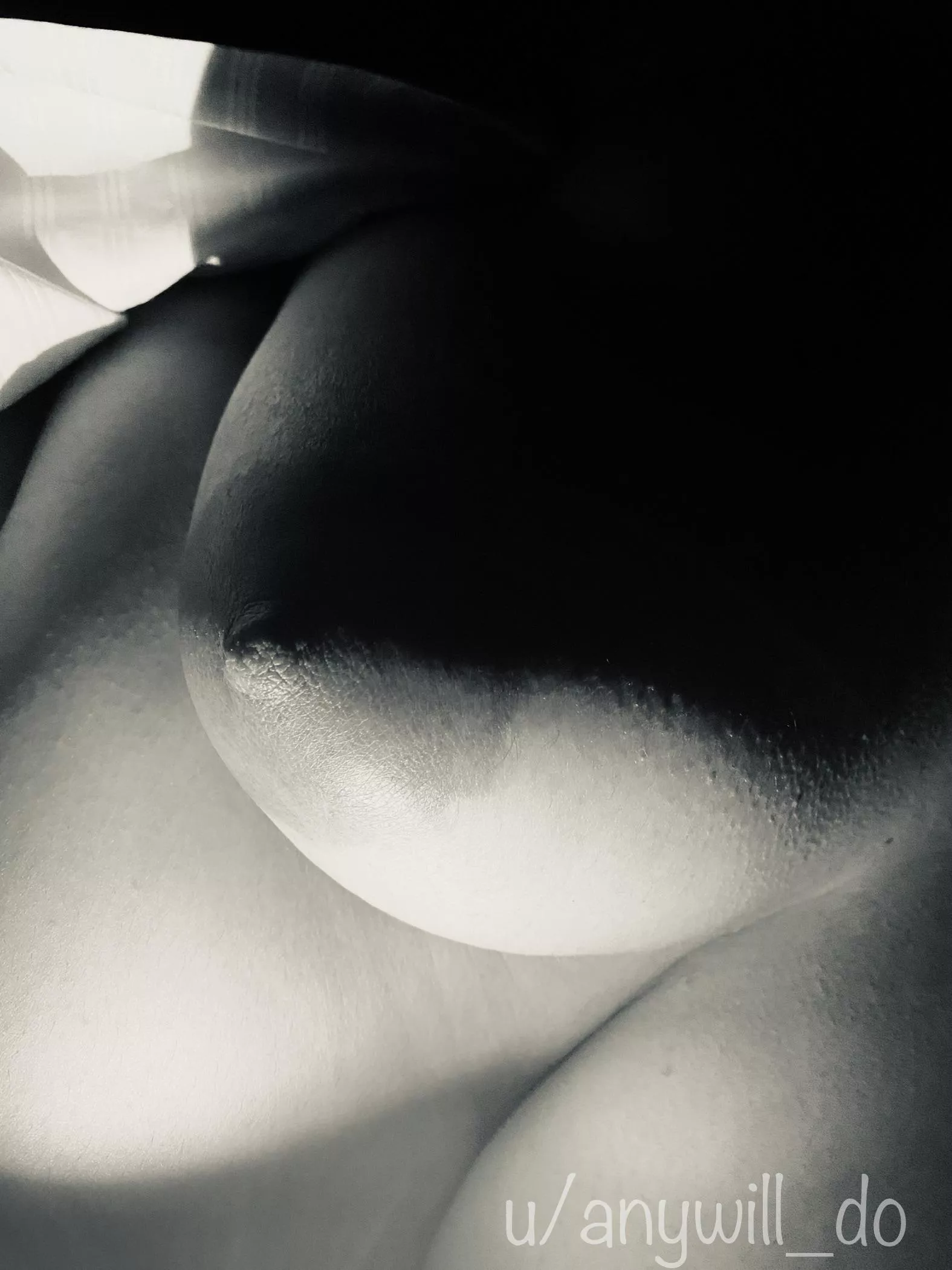 [f] Black and White posted by anywill_do