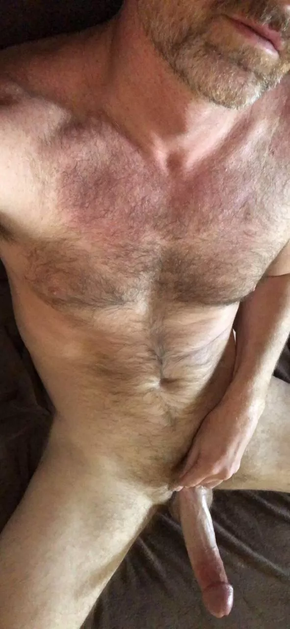 Looking for a 6ft5 hairy man? posted by ineveningair