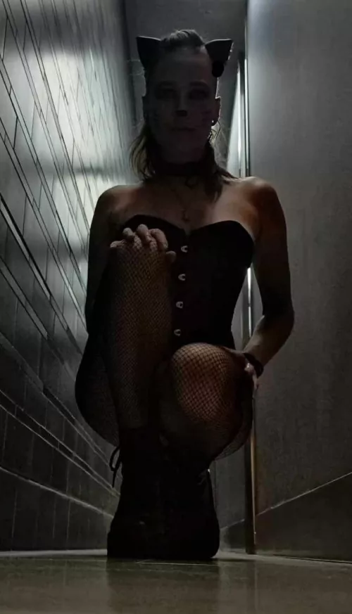 Meeeeow 😽 by AriaJFlowers