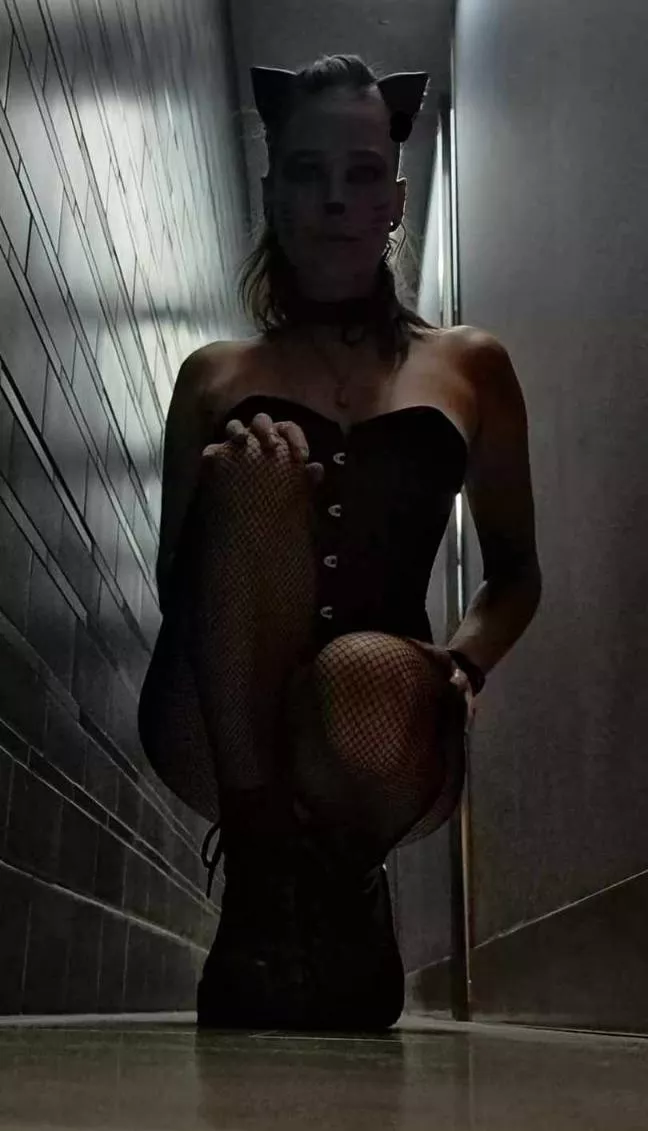 Meeeeow 😽 posted by AriaJFlowers