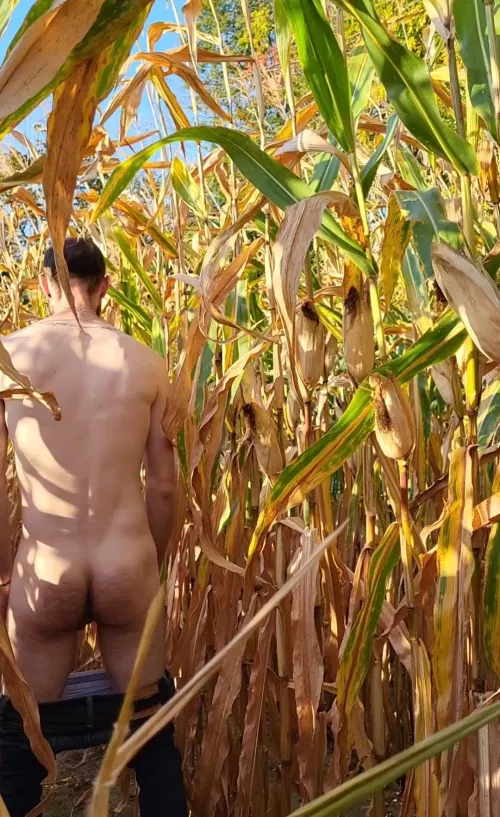 Round of cornhole anyone? by Double-Win305