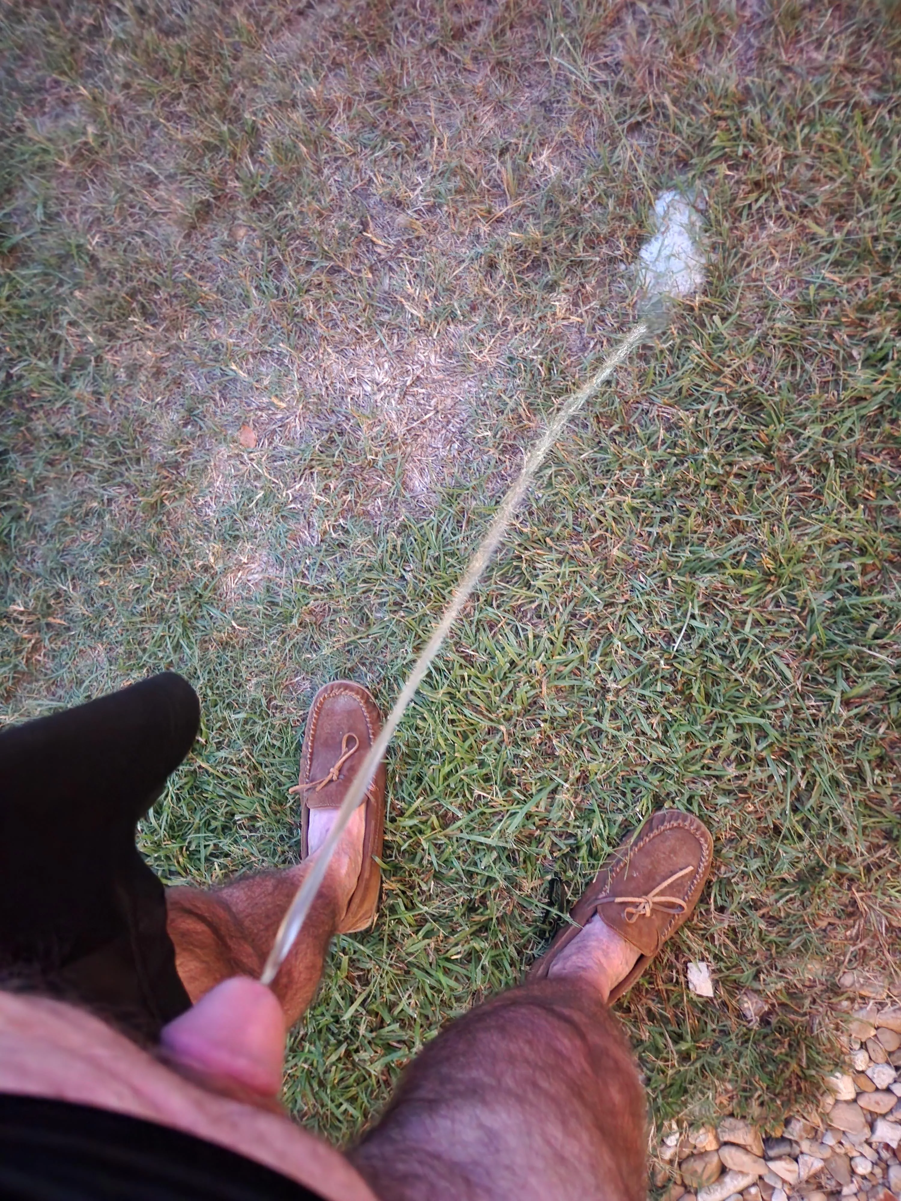 Well now posted by rooster0718