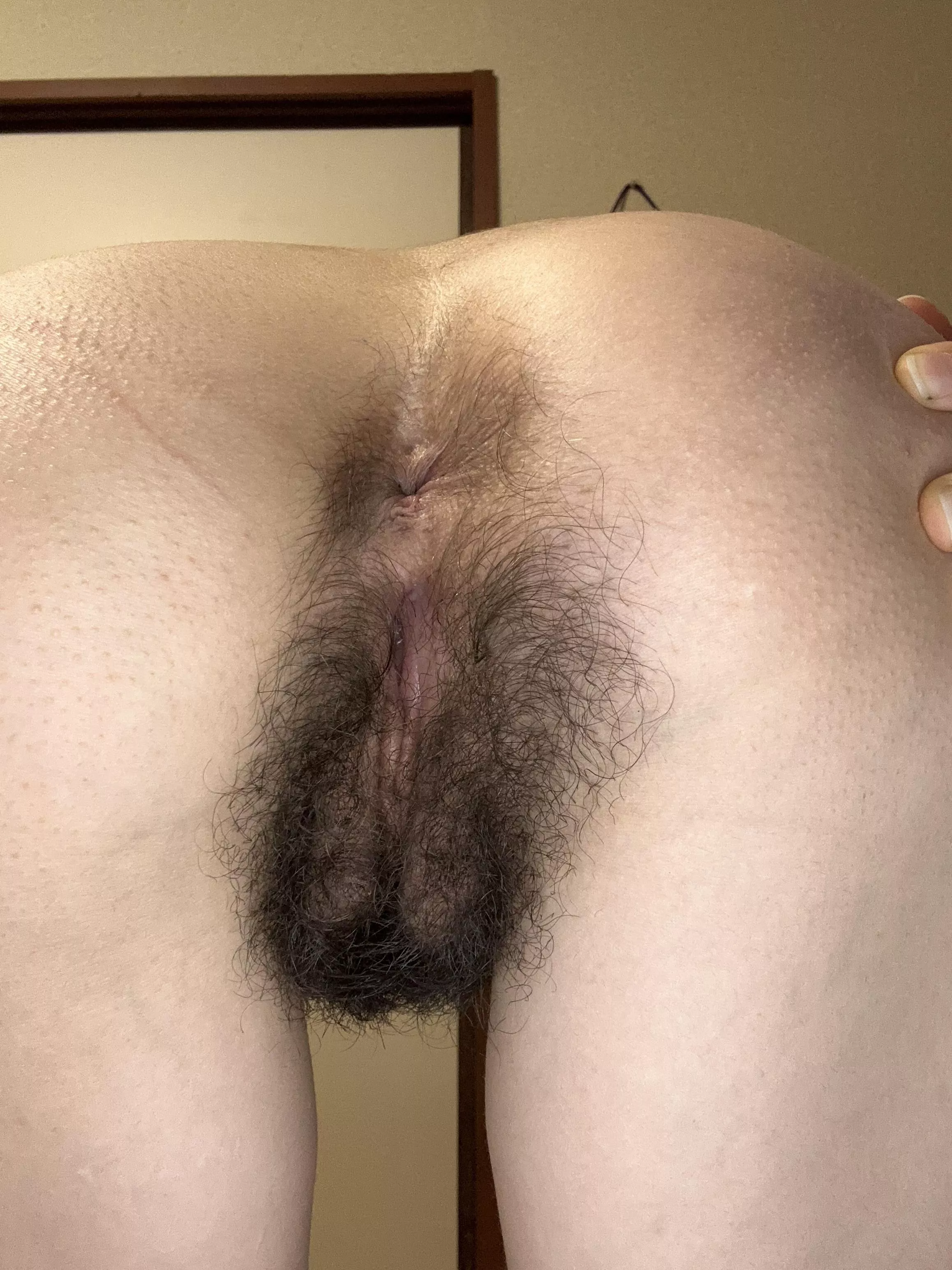 What’s the most exciting thing about hairy pussy? posted by draconia777