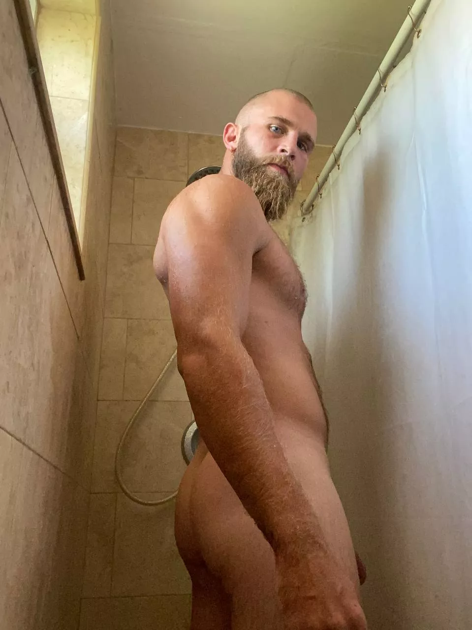 [40] I’ve been told it looks nice posted by stephenkemp05