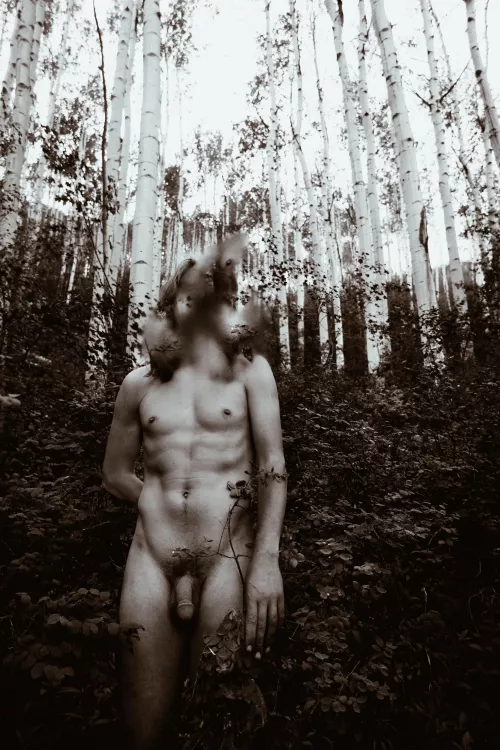 Aspen stand. by Trashtographer1111