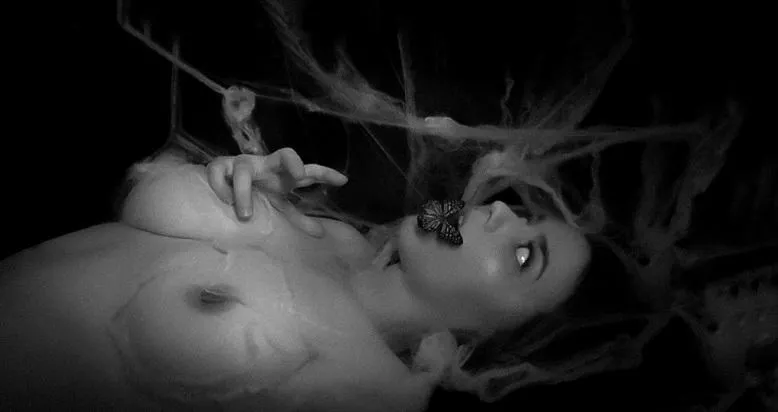 Delicate. posted by FaunaOfMirrors