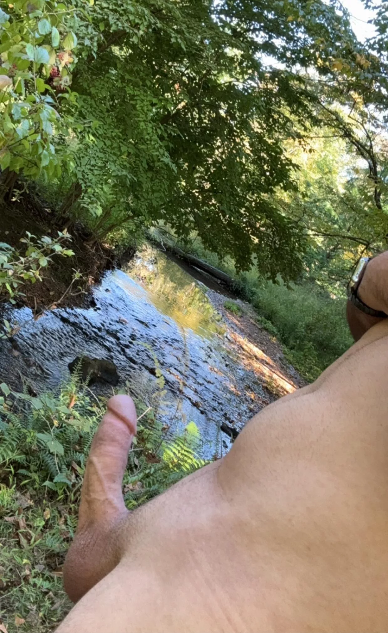 Enjoying the woods a little too much posted by shyguy1226