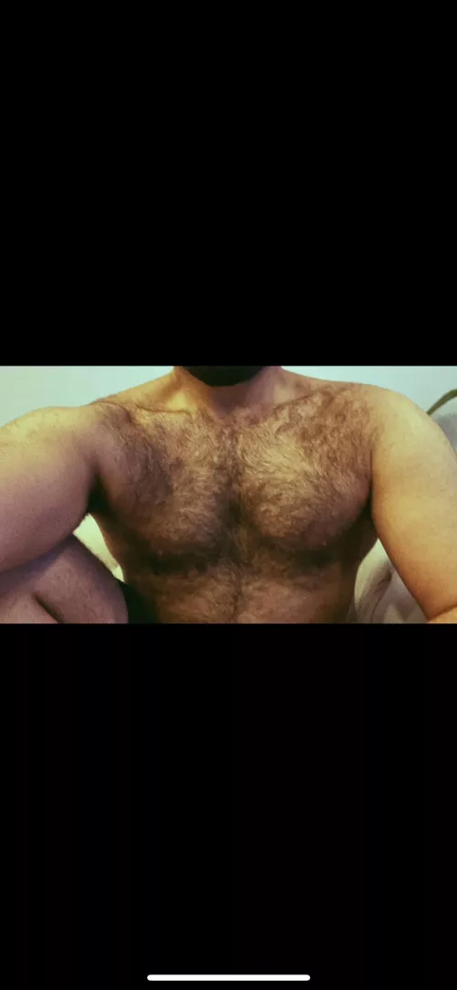 Hairy chesticals by One_Ant_6788