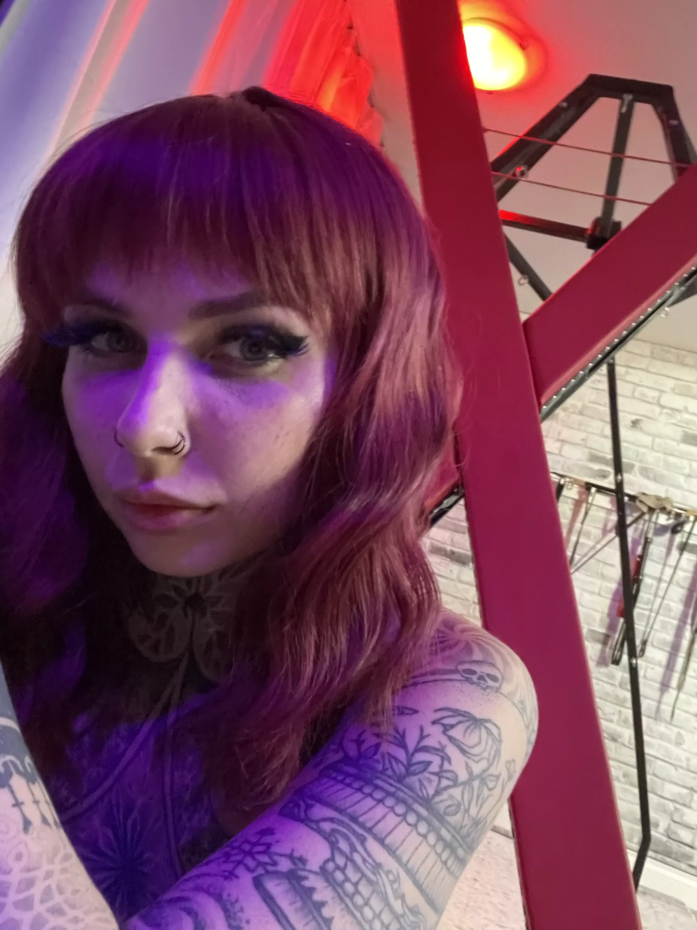 How hard would you fuck me? posted by SGracelyn