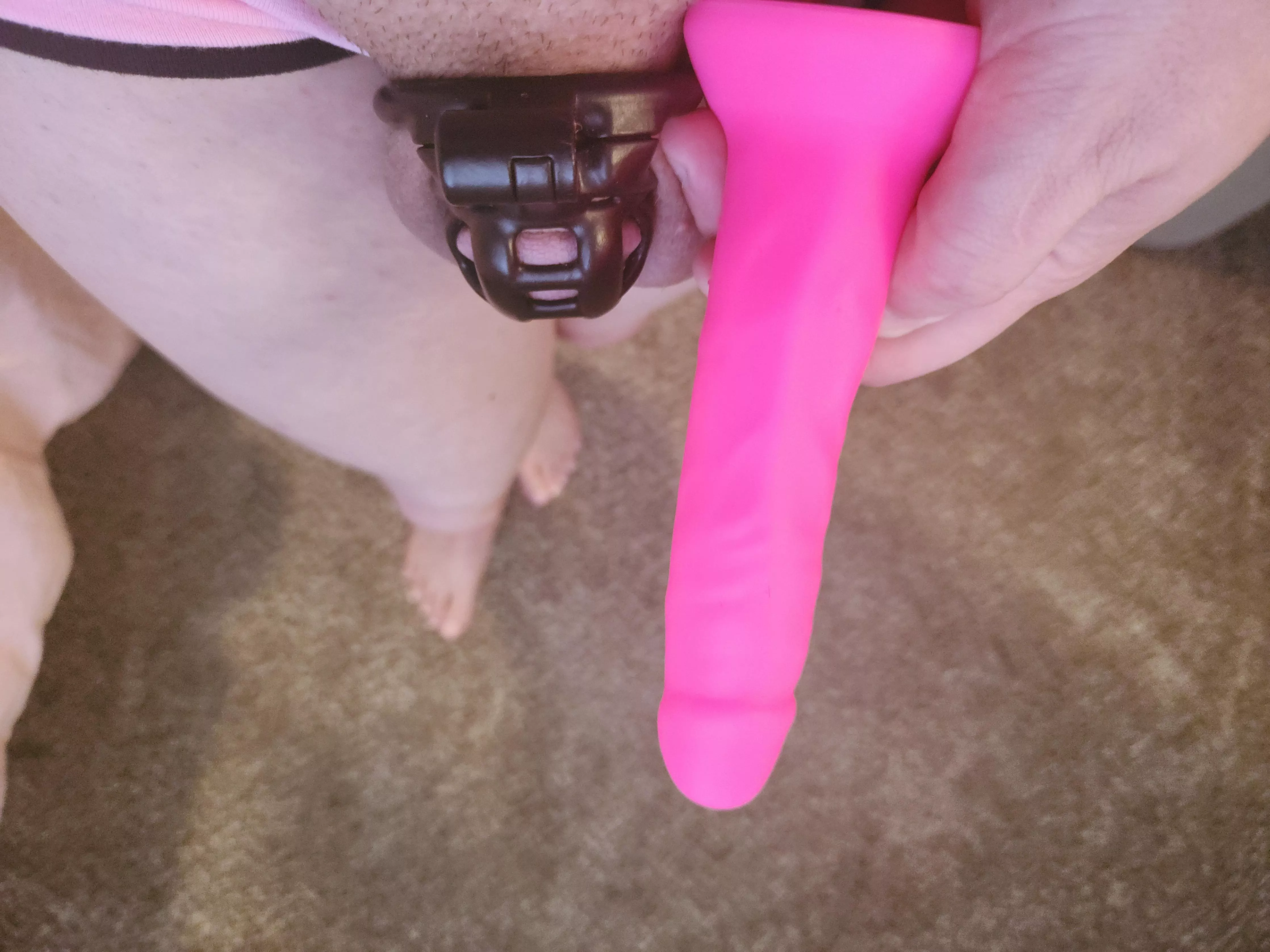 I love my clitty shrinking away in comparison to my toys posted by SlavetoAngelCurves