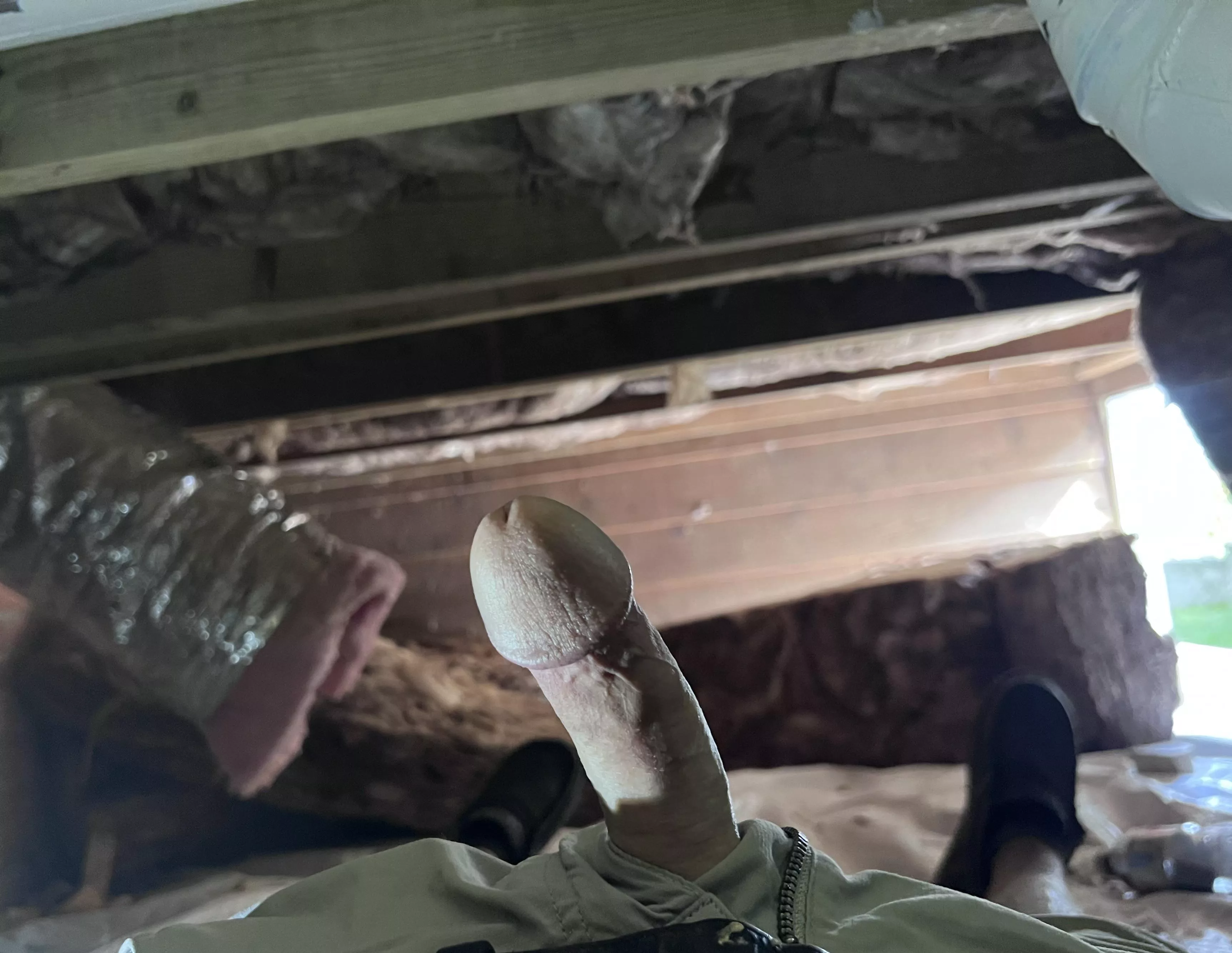 Working hard? Or hardly working 🤣 posted by Long-Opinion-9676