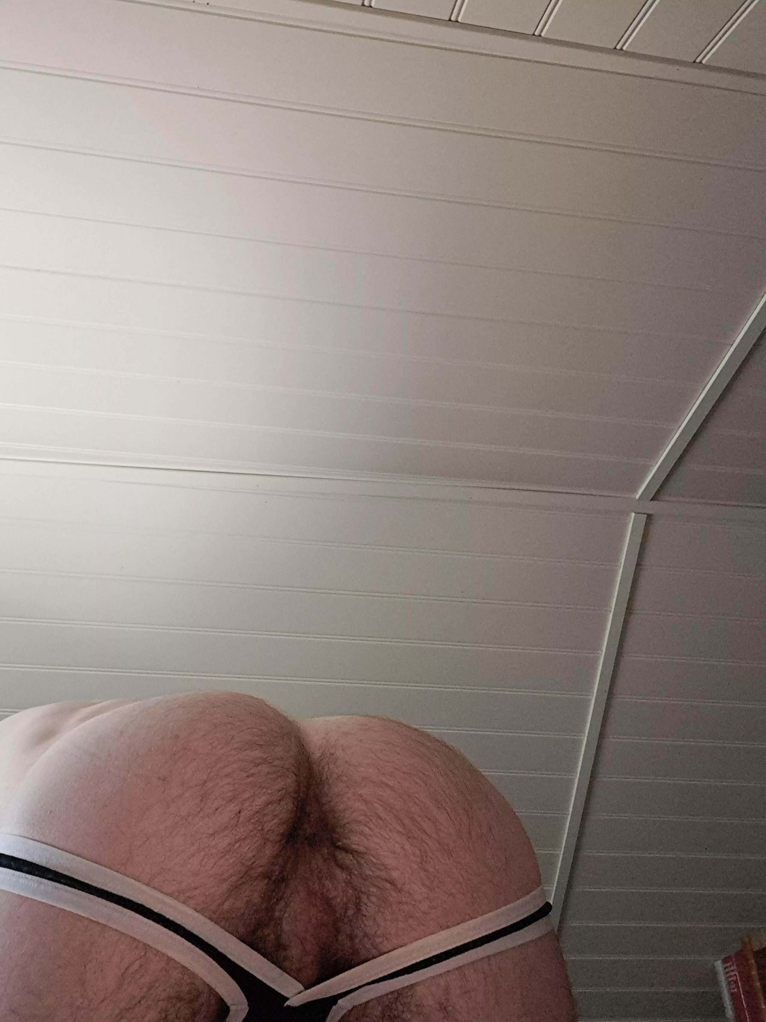 46 otter butt posted by Gany-mede77