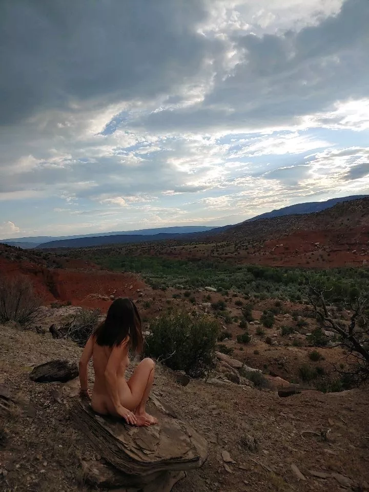 Desert twilight just before temperatures start to drop posted by awestoncpl93