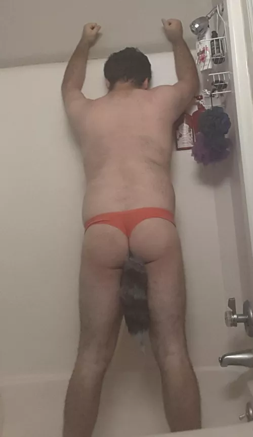 don't I look good with my tail daddy? by Bigboy21499