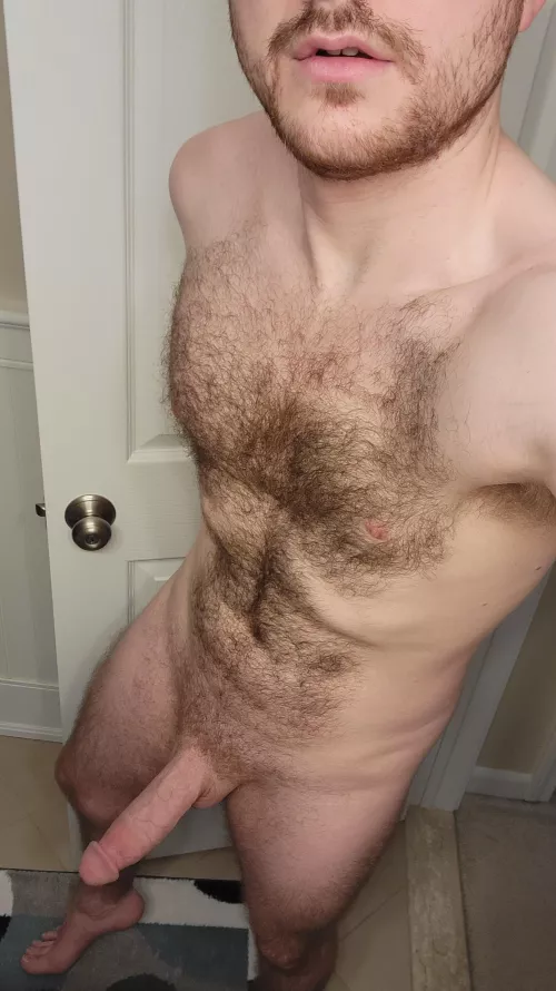 Hairy & Hard by bigcb8inch