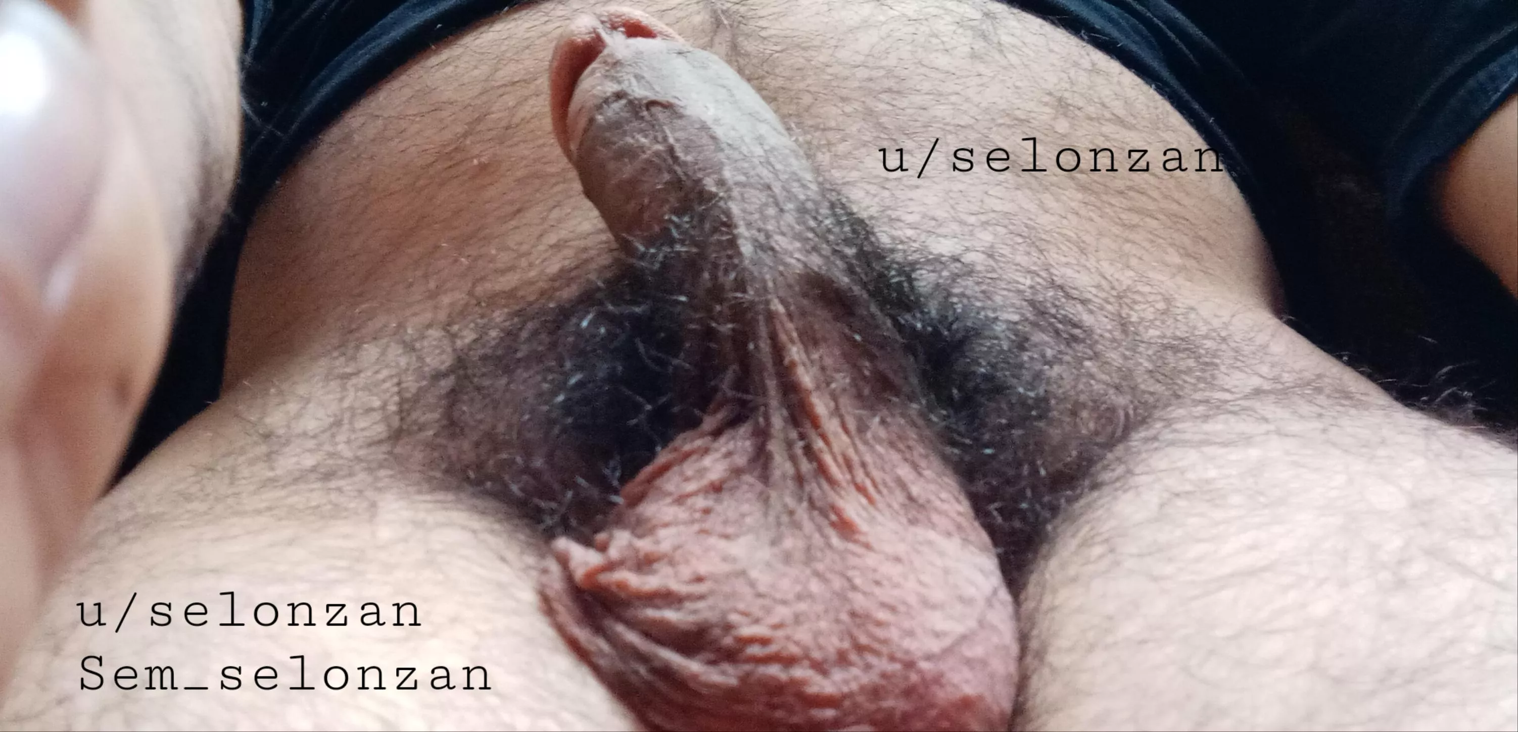 Is that a nice Bush?!or do I need to shave?m (24) posted by selonzan