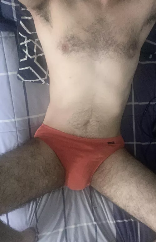 Love me some fall colored bikinis 🧡 by UndieMan01