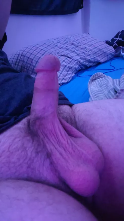 The woman that I have been with said it's a perfect size what do y'all think? by Sweet_Historian_2588