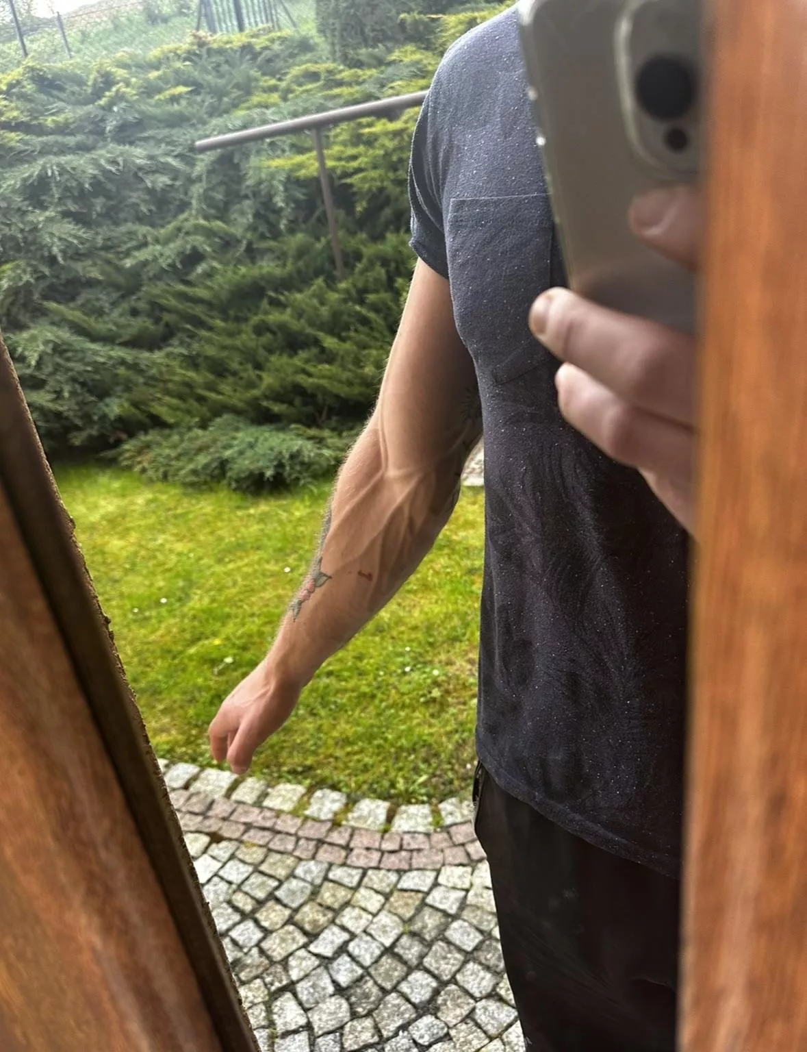 Anatomy posted by AlphaJake23