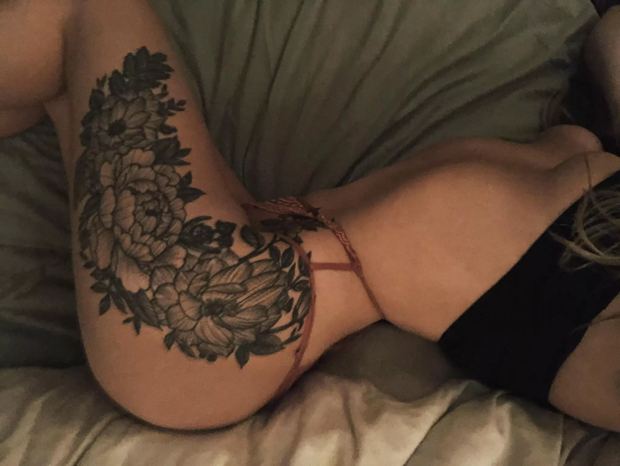 curves posted by olivefg