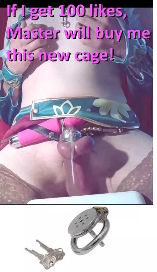 If I manage 100 likes, Master said He would buy me a flat cage! by SissyAlexLube
