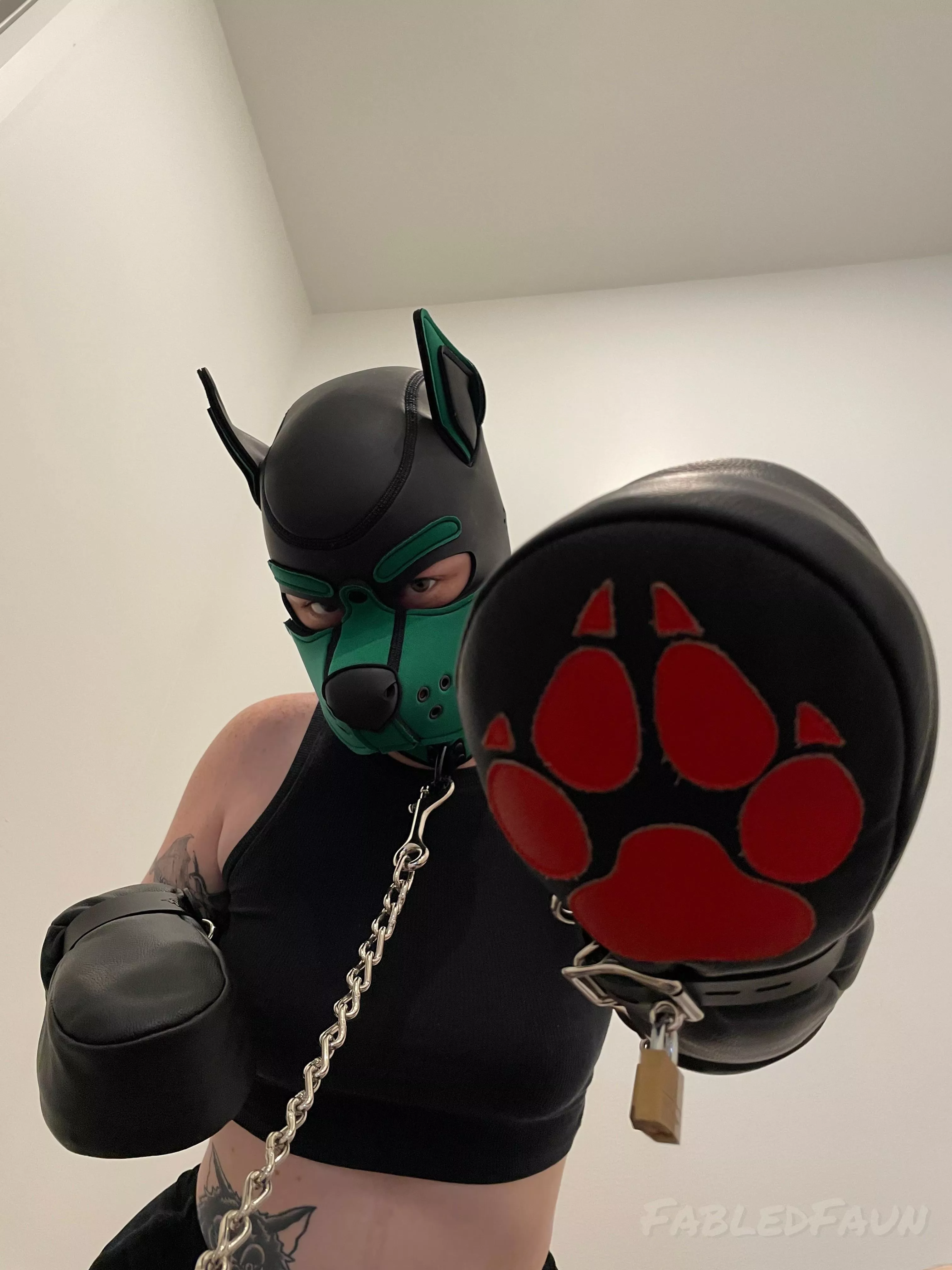 Ornery pup needs a thorough training sesh 🐾 posted by FabledFaun