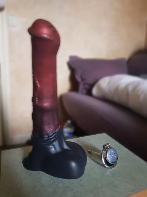 The Chance XL unflared is perfect for me 😍🤤 im gonna have some fun 😋 by Bamlover