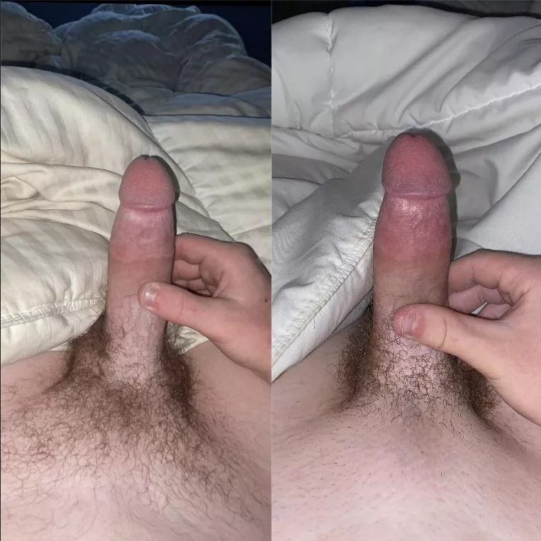 What do you prefer…hairy or short posted by Rich_Requirement_482