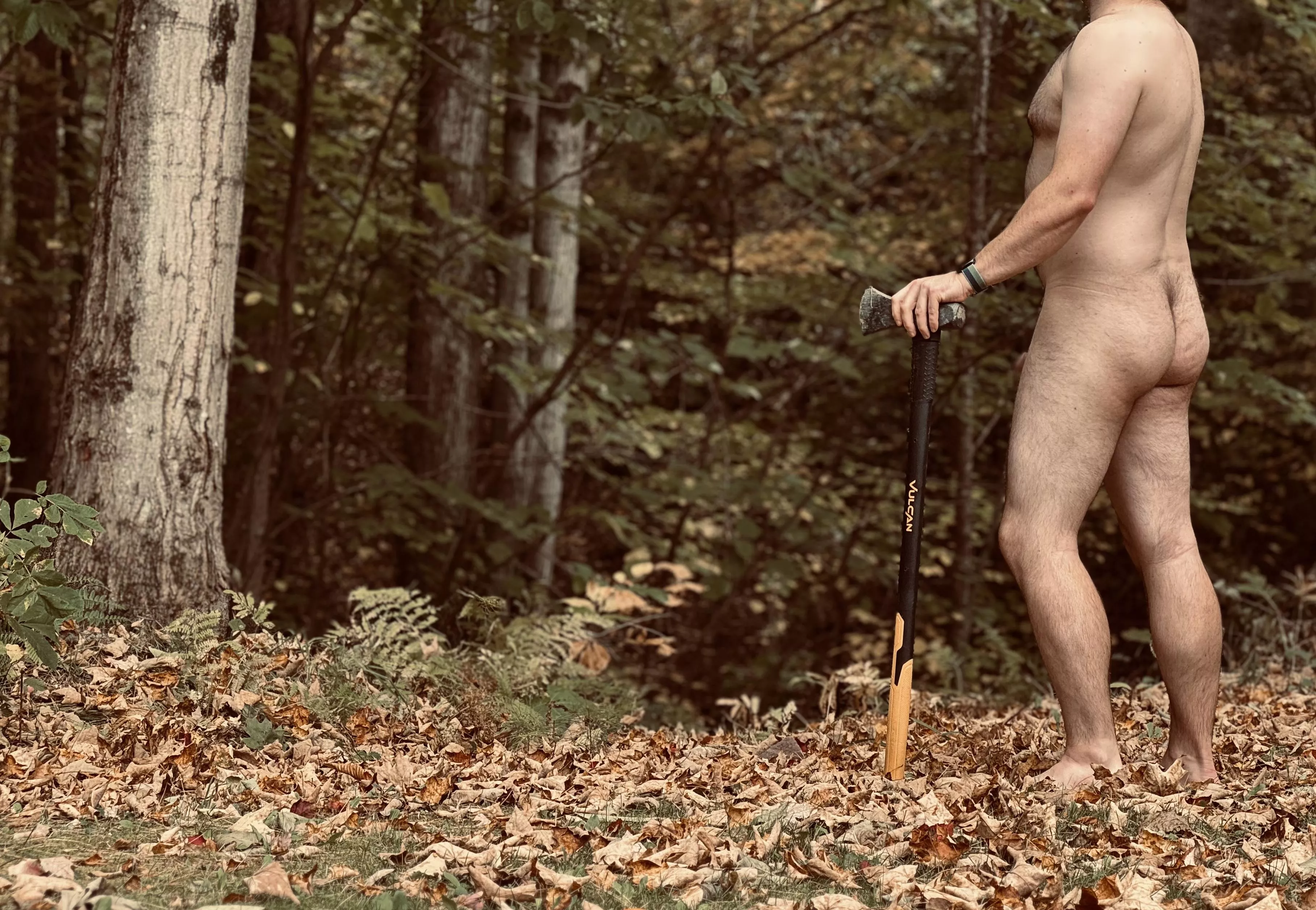 [37] Looking for something to split. If you catch my drift. posted by DefinitelySufficient