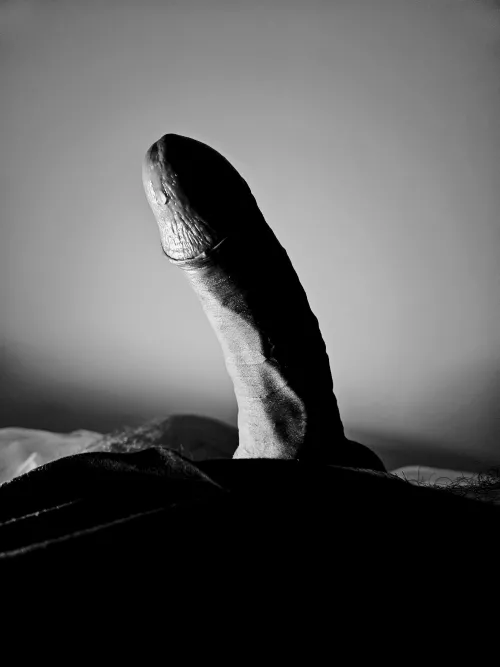 Good and hard morning to everyone. by willgrahamthird